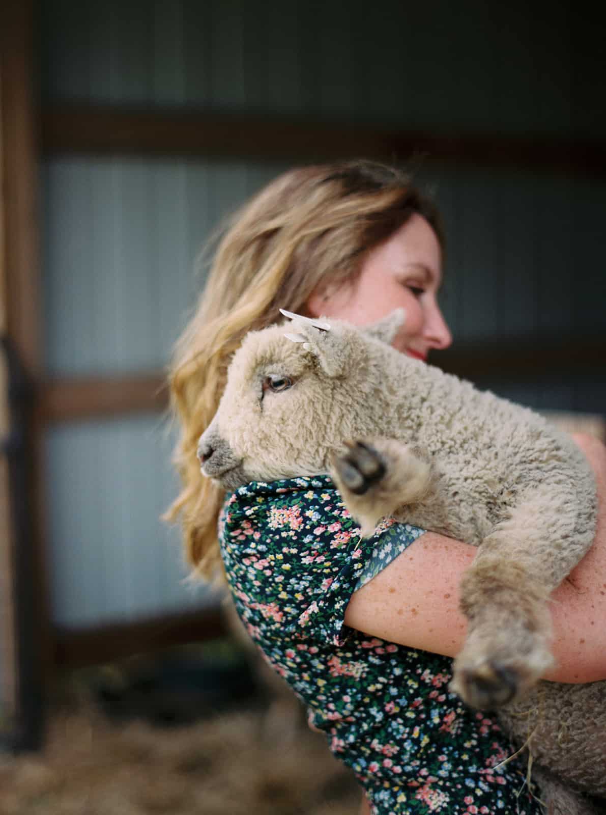 Babydoll Sheep are the Perfect Hobby Farm Animals | Learn more at everlyraine.com by Katie O. Selvidge